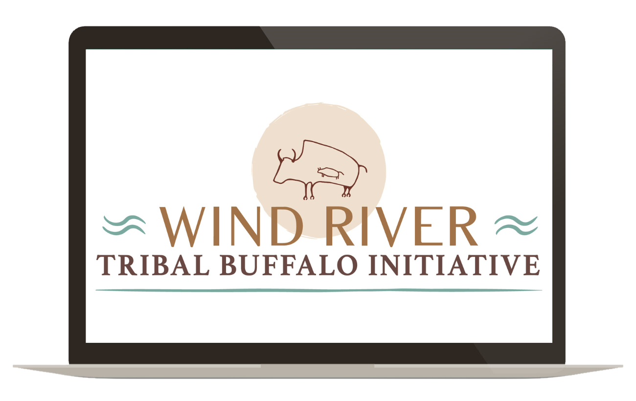 Wind River Tribal Buffalo Initiative logo displayed on laptop screen