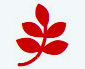 aspen nonprofit branding services icon