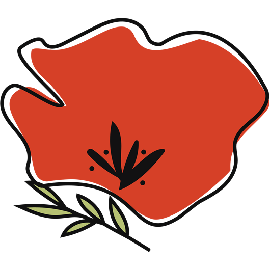 Ruby Care - Orange Poppy Level website maintenance